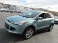 2013 Frosted Glass Metallic Ford Escape SEL 2.0L EcoBoost 4WD  photo #5