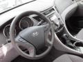 Radiant Silver - Sonata GLS Photo No. 11