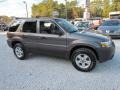 2006 Dark Stone Metallic Ford Escape XLT V6 4WD  photo #2