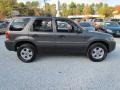 2006 Dark Stone Metallic Ford Escape XLT V6 4WD  photo #3