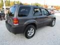2006 Dark Stone Metallic Ford Escape XLT V6 4WD  photo #4