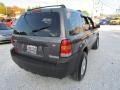2006 Dark Stone Metallic Ford Escape XLT V6 4WD  photo #5