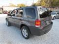 2006 Dark Stone Metallic Ford Escape XLT V6 4WD  photo #7