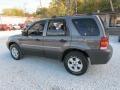 2006 Dark Stone Metallic Ford Escape XLT V6 4WD  photo #8