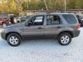 2006 Dark Stone Metallic Ford Escape XLT V6 4WD  photo #9