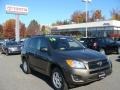 Pyrite Metallic - RAV4 I4 4WD Photo No. 1