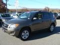 Pyrite Metallic - RAV4 I4 4WD Photo No. 3