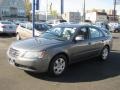 Willow Gray - Sonata GLS Photo No. 3