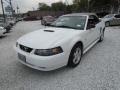 2002 Oxford White Ford Mustang V6 Convertible  photo #11