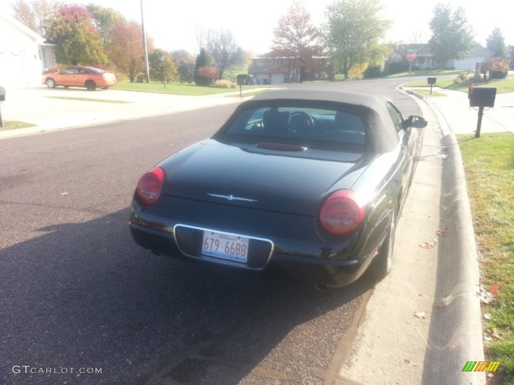 2003 Thunderbird Premium Roadster - Evening Black / Black Ink photo #2