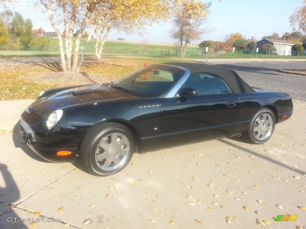 2003 Thunderbird Premium Roadster - Evening Black / Black Ink photo #7