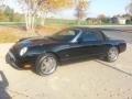 2003 Evening Black Ford Thunderbird Premium Roadster  photo #7