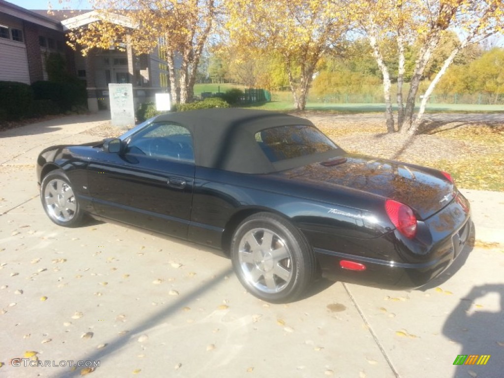 2003 Thunderbird Premium Roadster - Evening Black / Black Ink photo #8
