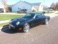 2003 Evening Black Ford Thunderbird Premium Roadster  photo #9