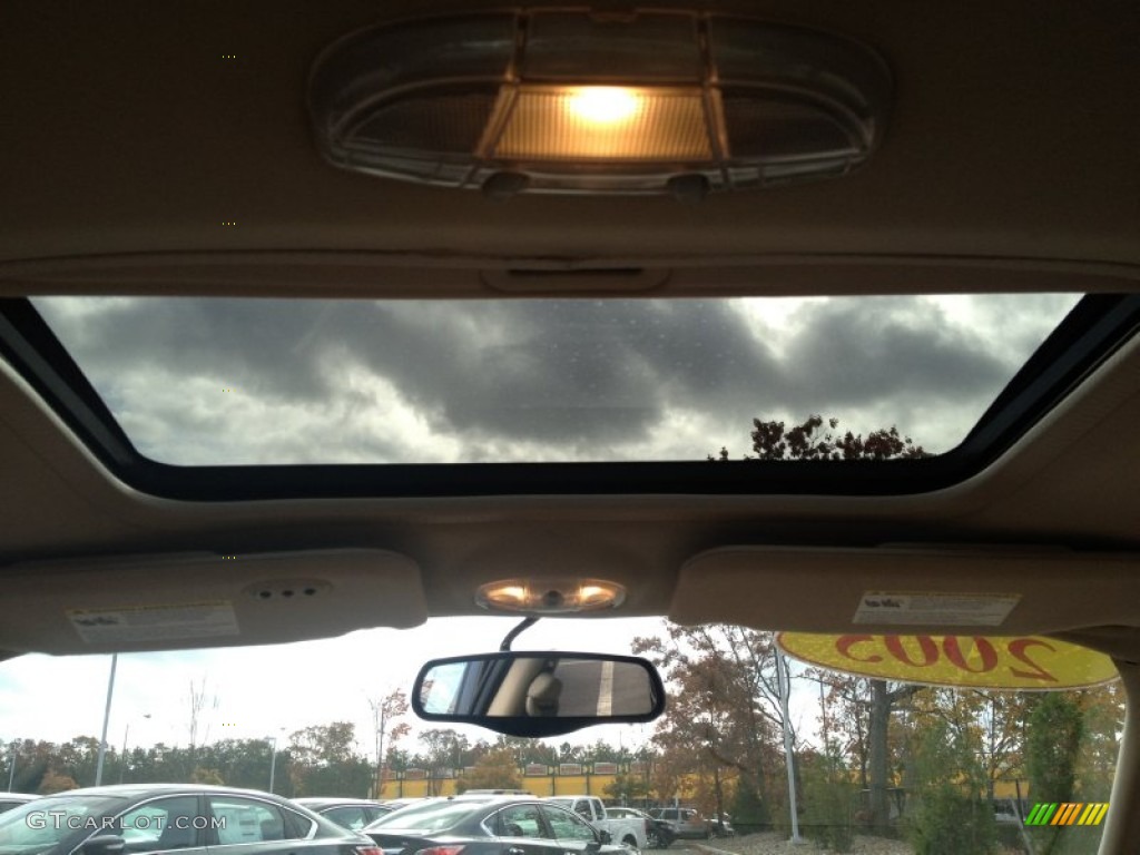 2005 Taurus SEL - Gold Ash Metallic / Medium/Dark Flint photo #8