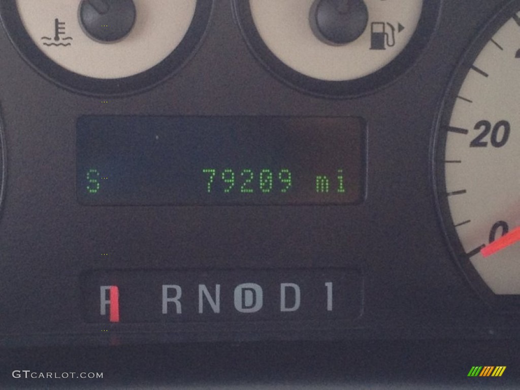 2005 Taurus SEL - Gold Ash Metallic / Medium/Dark Flint photo #15