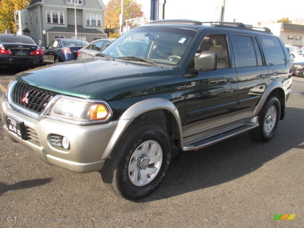 2000 Montero Sport XLS 4x4 - New Zealand Green Metallic / Tan photo #3