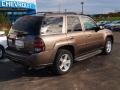 Desert Brown Metallic - TrailBlazer LT 4x4 Photo No. 3
