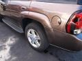 Desert Brown Metallic - TrailBlazer LT 4x4 Photo No. 4