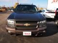 Desert Brown Metallic - TrailBlazer LT 4x4 Photo No. 8