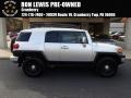 Titanium Metallic - FJ Cruiser 4WD Photo No. 1