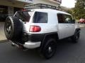 Titanium Metallic - FJ Cruiser 4WD Photo No. 8