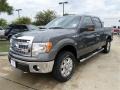 Sterling Gray Metallic - F150 XLT SuperCrew 4x4 Photo No. 1