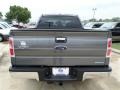 Sterling Gray Metallic - F150 XLT SuperCrew 4x4 Photo No. 4