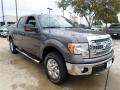 Sterling Gray Metallic - F150 XLT SuperCrew 4x4 Photo No. 7