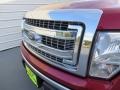 2013 Ruby Red Metallic Ford F150 XLT SuperCab  photo #12