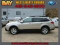 Tungsten Metallic - Outback 2.5i Premium Photo No. 1