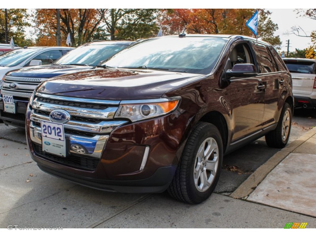 Cinnamon Metallic Ford Edge