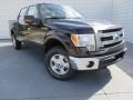 2013 Kodiak Brown Metallic Ford F150 XLT SuperCrew 4x4  photo #2