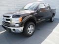 Kodiak Brown Metallic - F150 XLT SuperCrew 4x4 Photo No. 7