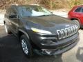 Brilliant Black Crystal Pearl 2014 Jeep Cherokee Latitude 4x4 Exterior