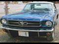 1965 Guardsman Blue Ford Mustang Coupe  photo #1