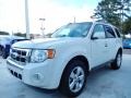 White Suede 2009 Ford Escape Limited V6