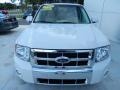 2009 White Suede Ford Escape Limited V6  photo #7