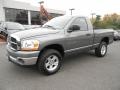 2006 Mineral Gray Metallic Dodge Ram 1500 SLT Regular Cab 4x4  photo #1