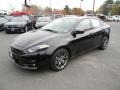 Pitch Black - Dart Rallye Photo No. 1