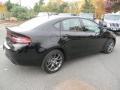 Pitch Black - Dart Rallye Photo No. 6