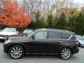 Dark Currant - QX 56 4WD Photo No. 2