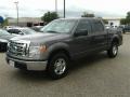 Sterling Grey Metallic - F150 XLT SuperCrew Photo No. 2