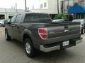 Sterling Grey Metallic - F150 XLT SuperCrew Photo No. 4
