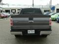 Sterling Grey Metallic - F150 XLT SuperCrew Photo No. 5