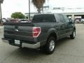Sterling Grey Metallic - F150 XLT SuperCrew Photo No. 6