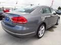 2014 Platinum Gray Metallic Volkswagen Passat TDI SEL Premium  photo #6