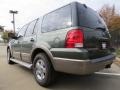 2004 Estate Green Metallic Ford Expedition Eddie Bauer  photo #2