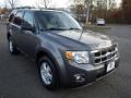 2010 Sterling Grey Metallic Ford Escape XLT 4WD  photo #3