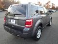 2010 Sterling Grey Metallic Ford Escape XLT 4WD  photo #7